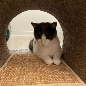 Meet your Posher, Alla